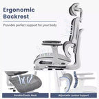 Ergonomic Mesh Office Chair with Adjustable 3D Armrests, High Back Desk Computer Chair, Retractable Footrest Wheels  Comfortable Swivel Task Chair