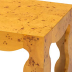 Modern and Contemporary Natural Real Burl Wood End Table