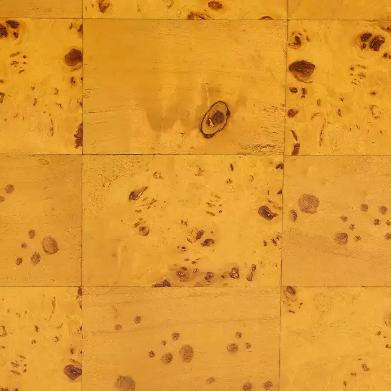 Modern and Contemporary Natural Real Burl Wood End Table