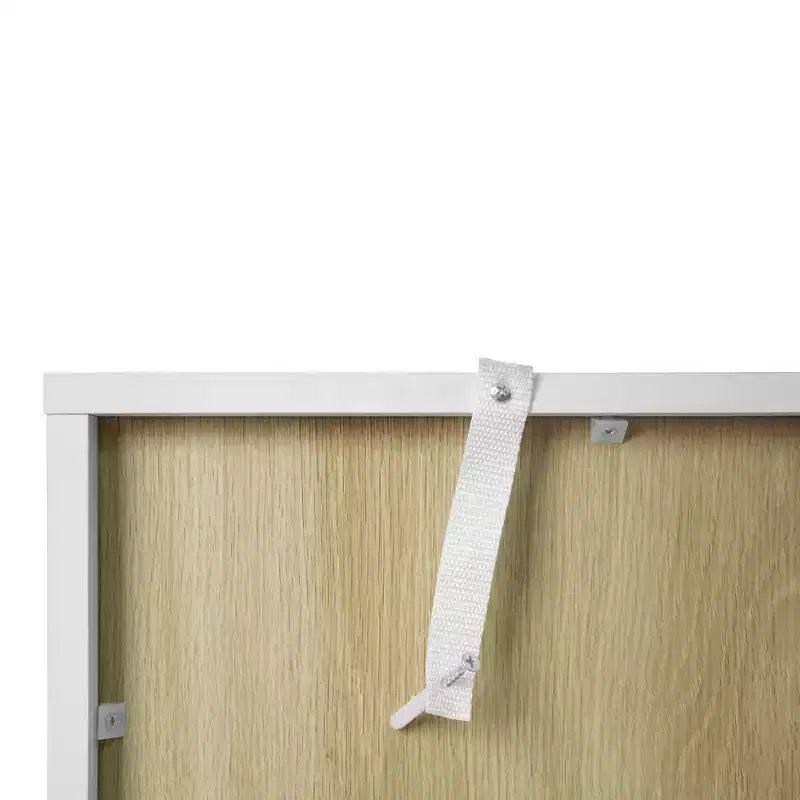 Modern Storage Cabinet with Acrylic Doors and Adjustable Shelf