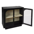 Modern Storage Cabinet with Acrylic Doors and Adjustable Shelf