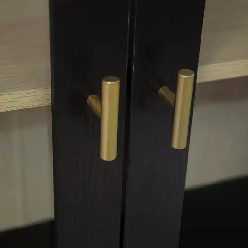 Modern Storage Cabinet with Acrylic Doors and Adjustable Shelf
